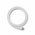 CURIO Ultra Cable - Coiled Clean